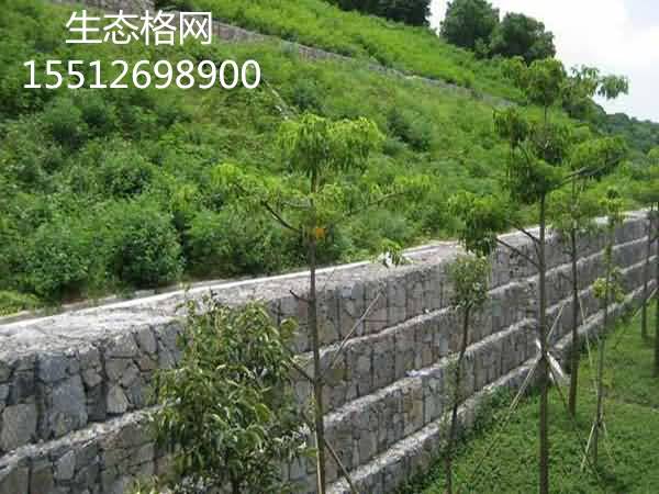 timg35_副本.jpg timg35_副本.jpg