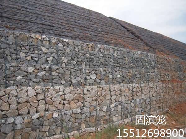 timg4564_副本.jpg timg4564_副本.jpg